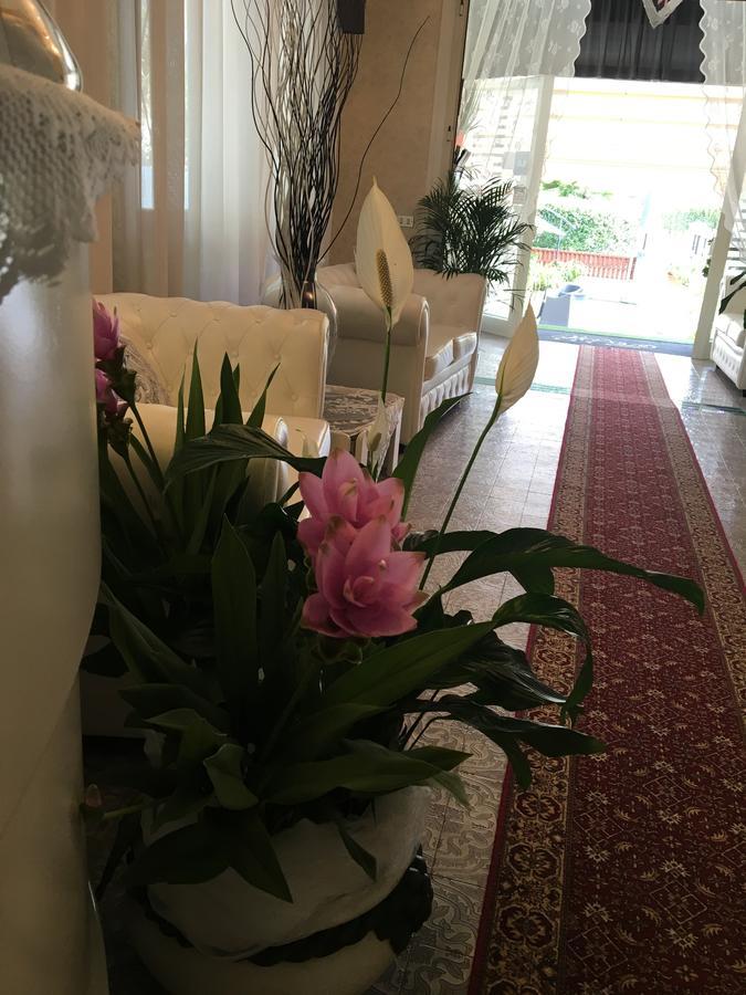 Hotel Manuela 신퀘일 외부 사진